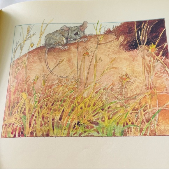 The Lion & The Mouse Jerry Pinkney Hardcover Aesop’s Fable Picture Book - Picture 4 of 6